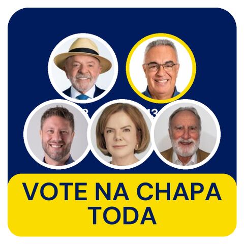 figurinha-chapa-completa.png