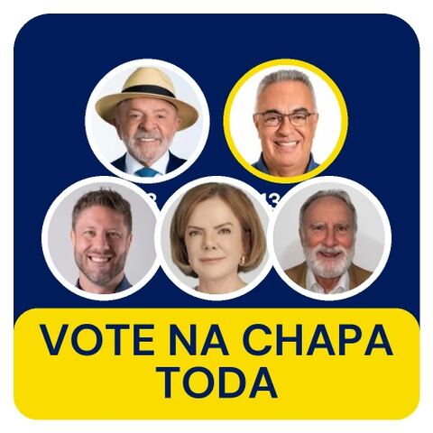 figurinha-chapa-completa.webp