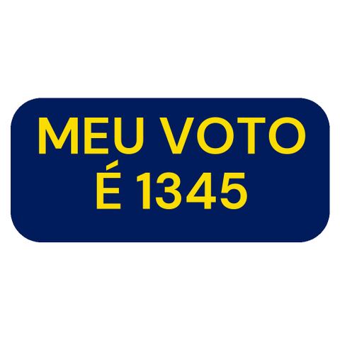 figurinha-voto-1345.png